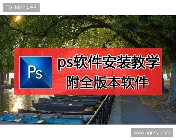 PG官网官方网站下载后安装步骤详解，帮助用户顺利完成软件安装