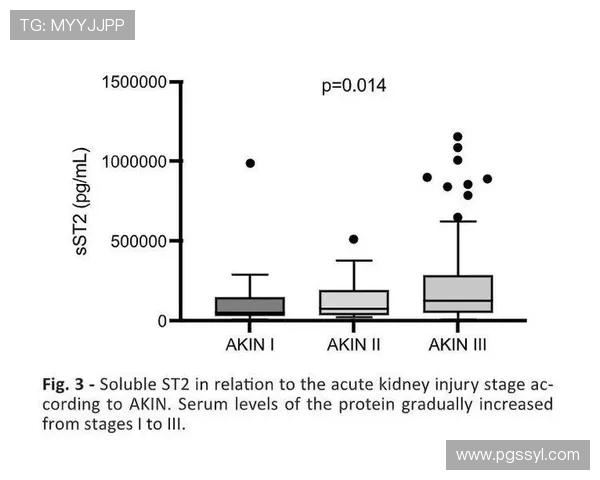 PG赌博辅助器的合法性与风险分析：玩家在使用过程中应注意的法律与安全问题
